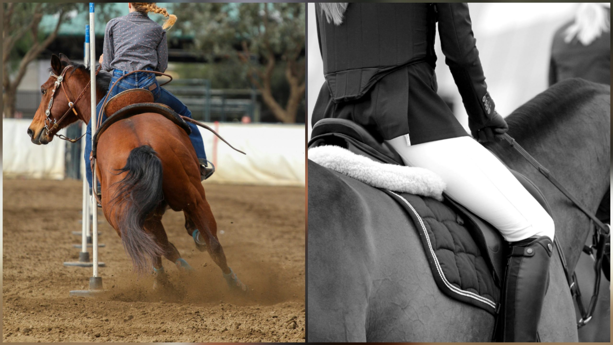 Horse Riding Clothes: What to Wear in Every Season