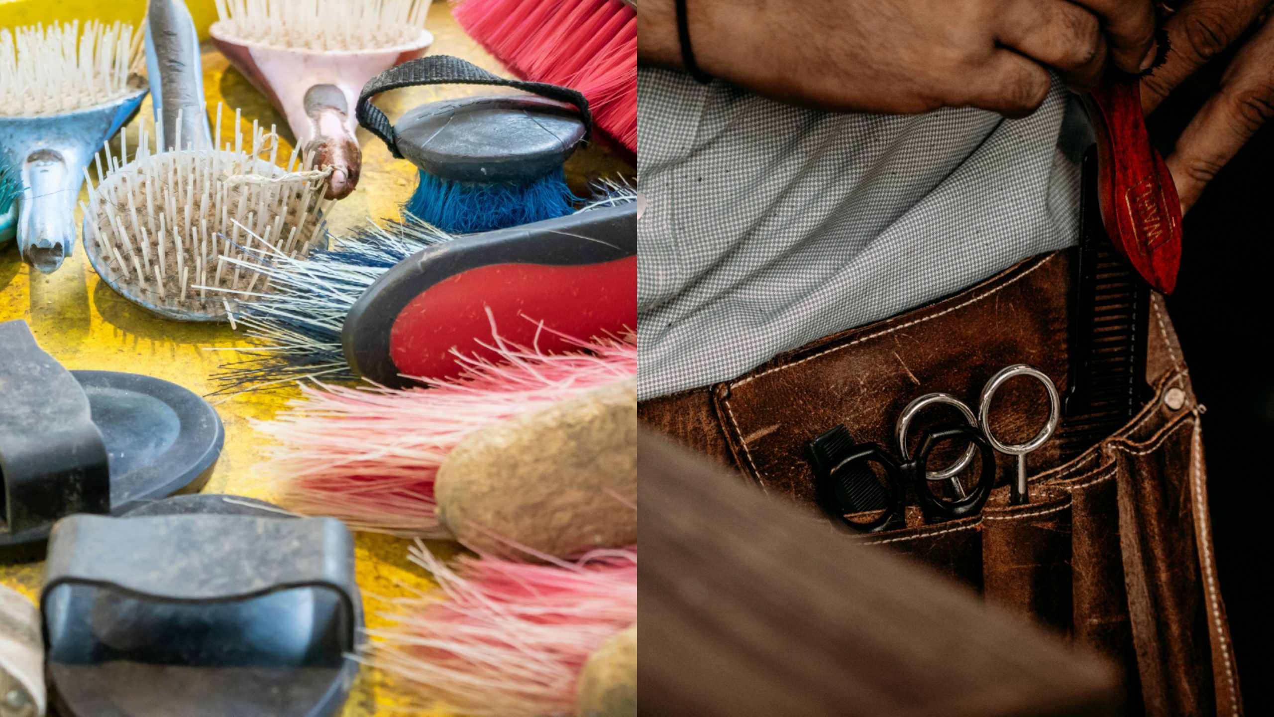 Horse Grooming Kit Checklist: Everything You Need for a Happy, Healthy Horse